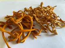 Load image into Gallery viewer, Frequency-Fluid-Liquid-Alchemy-Cordyceps-Plant-Medicine-Liquid-Extract-Natural-Health-Remedy-Cordyceps