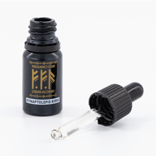 Load image into Gallery viewer, Frequency-Fluid-Liquid-Alchemy-SYNAPTOLEPIS-KIRKII-Plant-Medicine-Liquid-Extract-Natural-Health-Remedy-SYNAPTOLEPIS-KIRKII-3