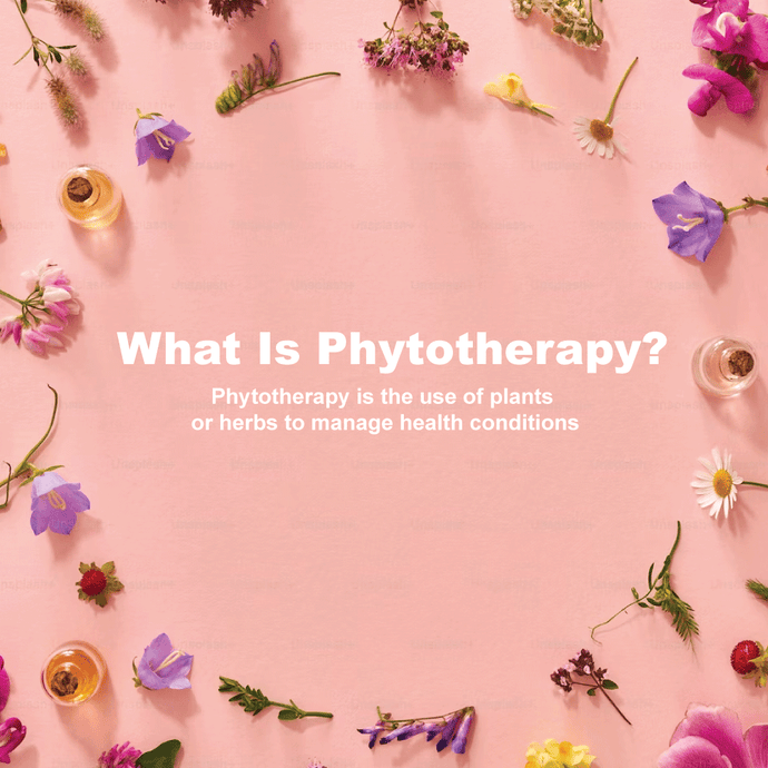 What Is Phytotherapy?