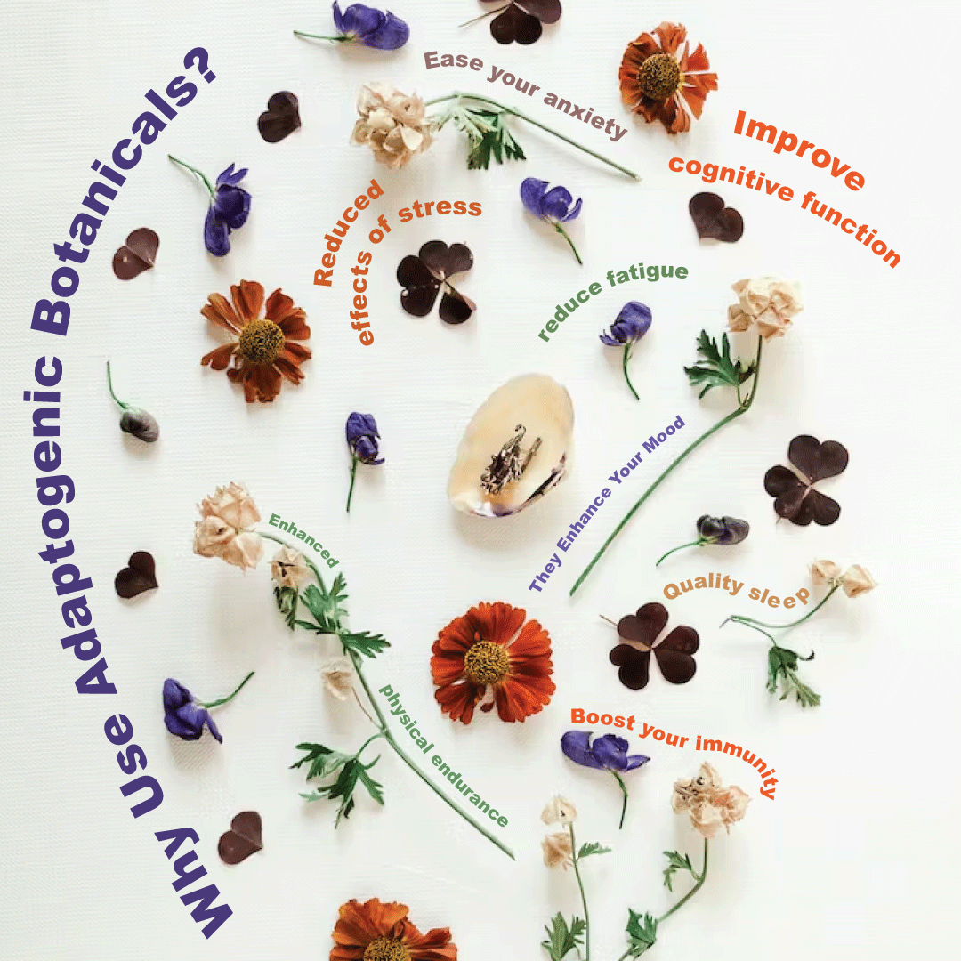 Adaptogenic Botanicals: Nature’s Stress Support System