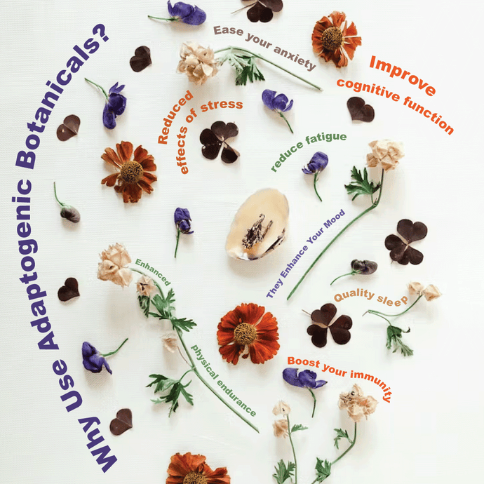 Adaptogenic Botanicals: Nature’s Stress Support System