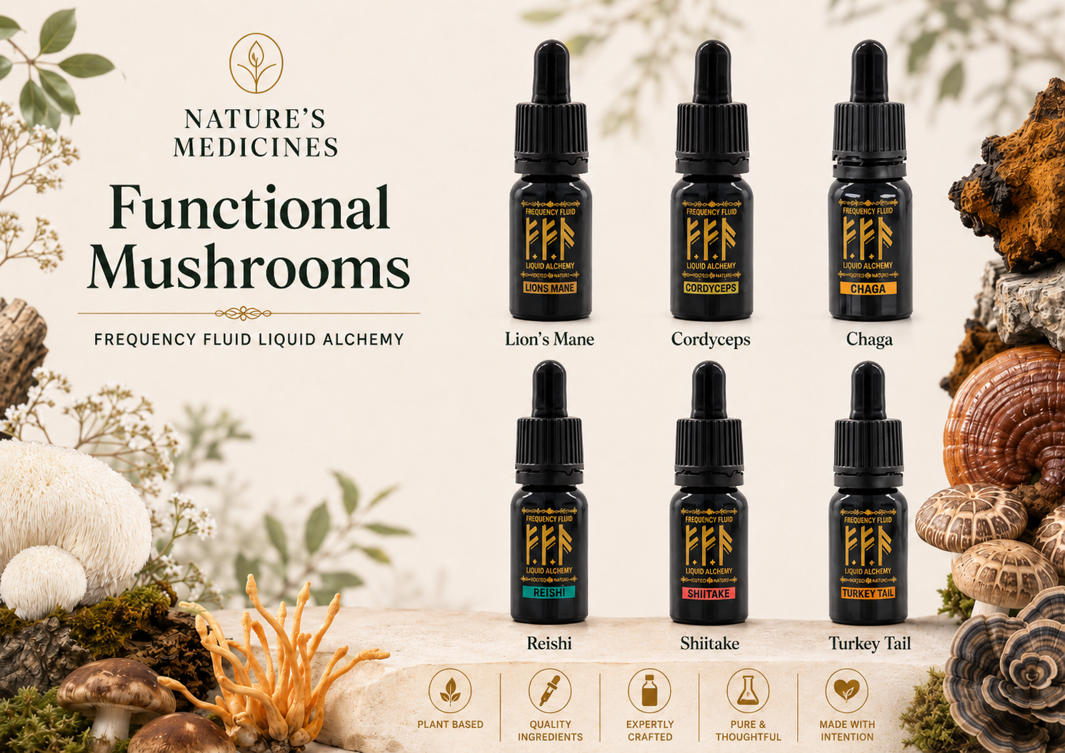 Functional Mushrooms